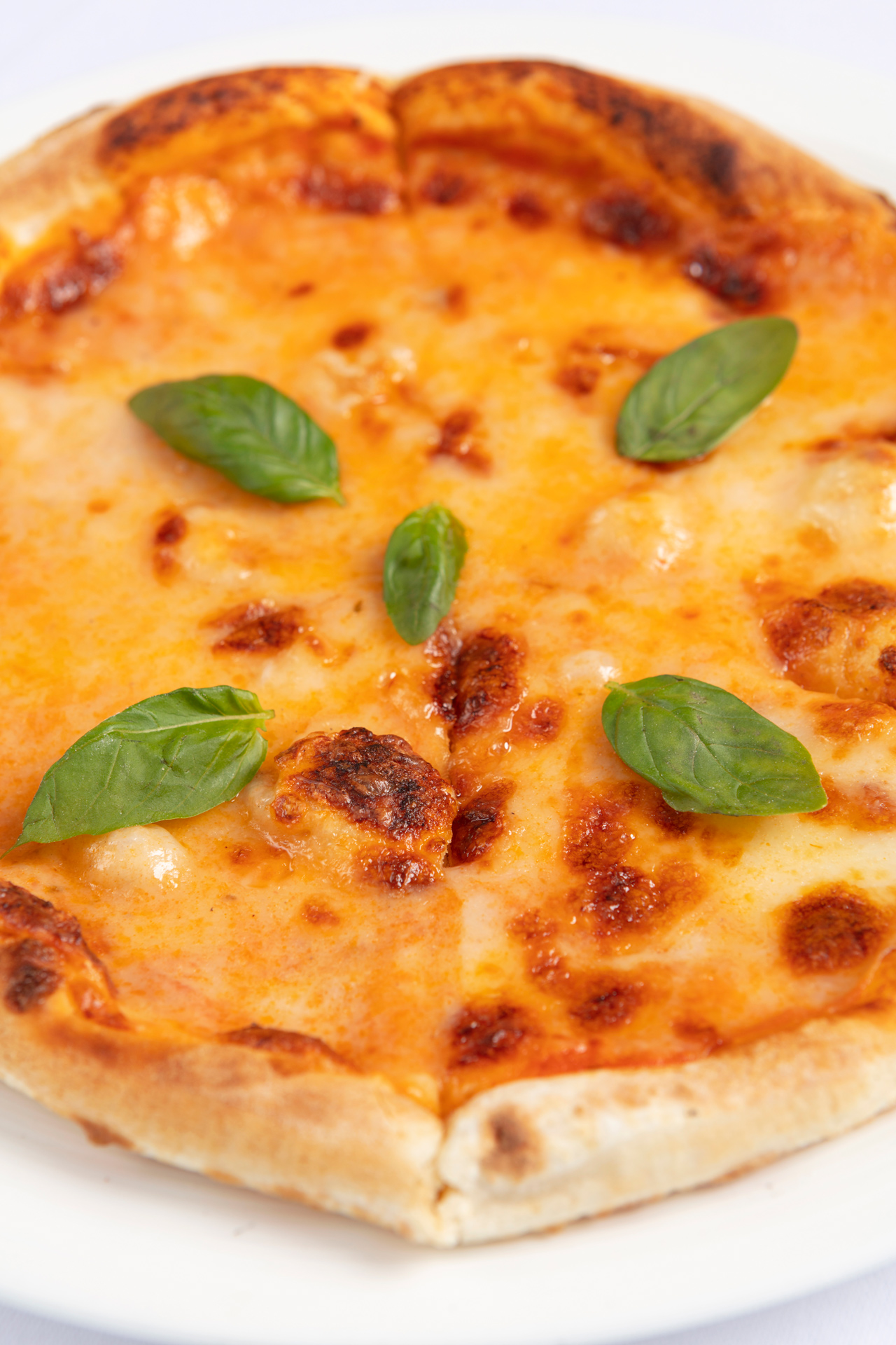 Margarita Pizza