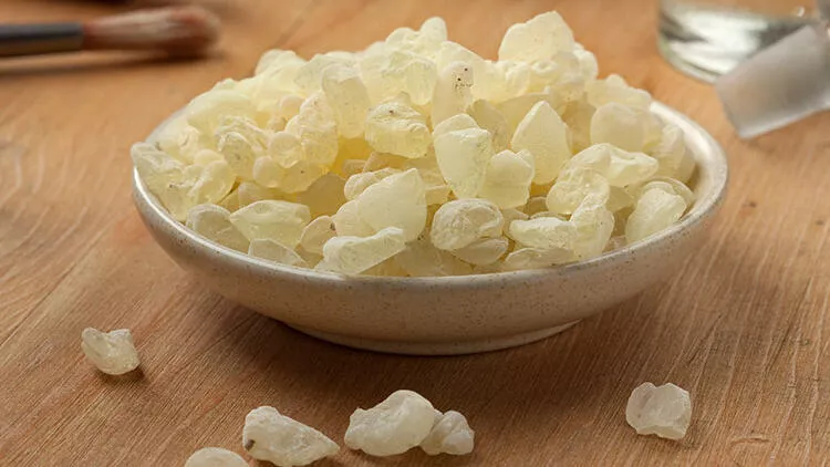 Turkish Mastic
